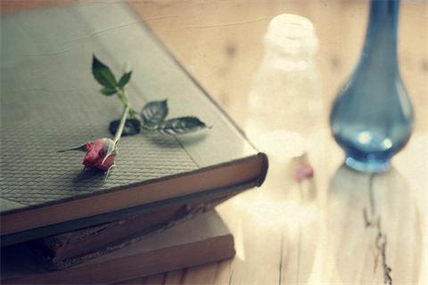 浙江專升本難不難?自學(xué)能不能上岸?