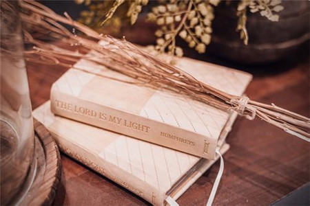 浙江自考 熱門專業