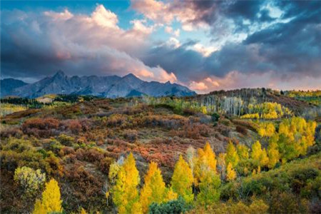 2020年浙江自考專升本心理學史重點筆記：第二章（2）