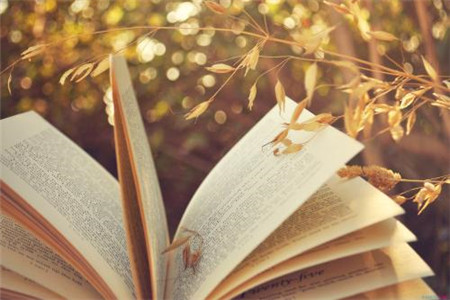 2020年浙江自考專升本英語復習備考技巧