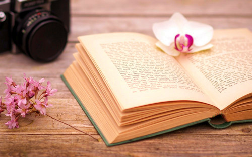 浙江成人高考和網絡教育的區別在哪?