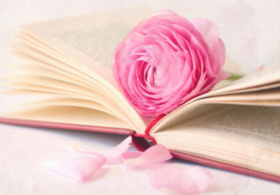 2020浙江專(zhuān)升本分?jǐn)?shù)線預(yù)估