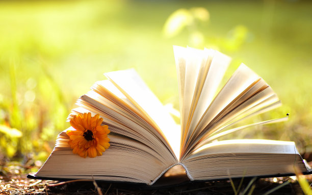 2020年浙江專升本報名費