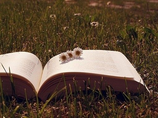 溫州醫科大學專升本報名條件