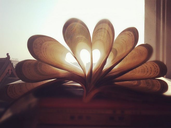 浙江統招專升本資格審核是什么時候?