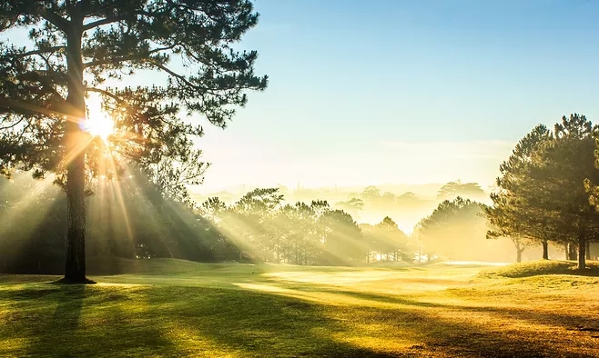 在職可以報考浙江專升本嗎?