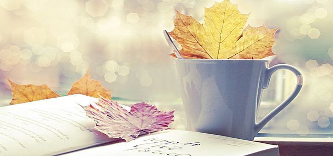 浙江統(tǒng)招專升本報名費什么時候交?