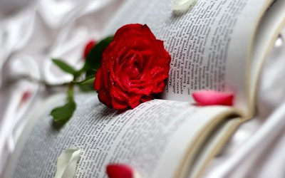 浙江專轉本專業課難度有多大?