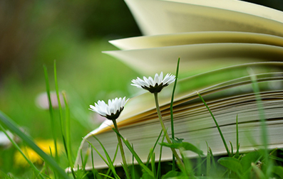 全日制專升本很尷尬嗎