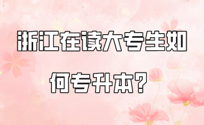 浙江在讀大專生如何專升本？